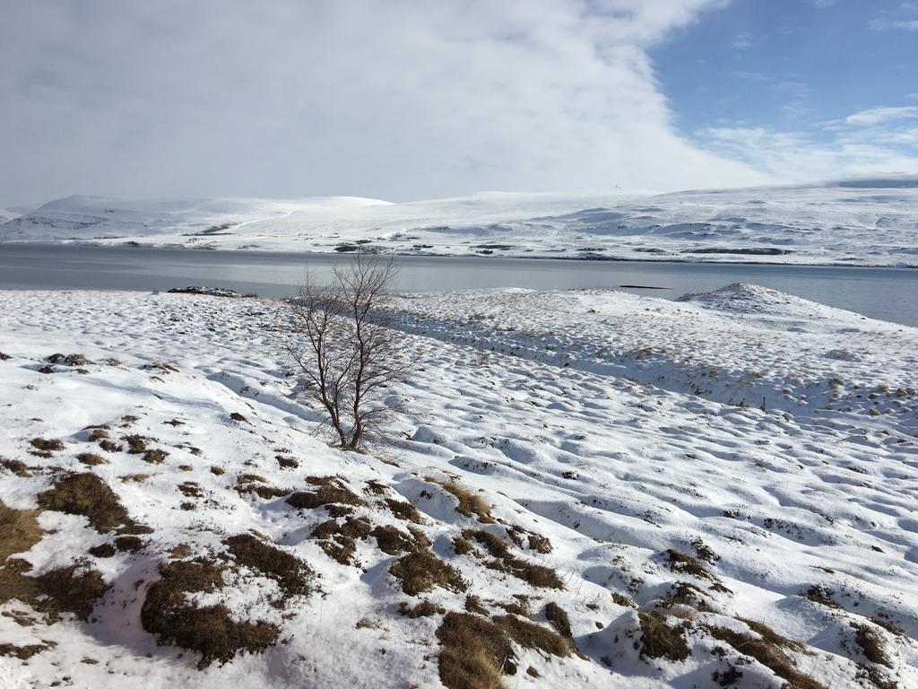 Aurora Vacation Homes Fagravik Akureyri Dış mekan fotoğraf